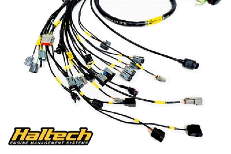 Rywire Honda K-Series (w/Haltech Elite 1500+) Eng Harn w/OBD2 Alt/EV14 Inj/AEM IAT/MAP (Adapter Req)