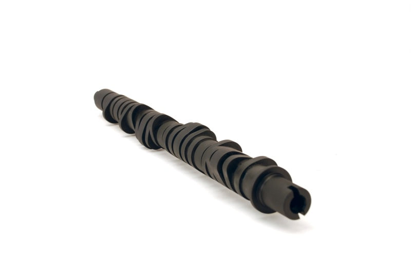 Skunk2 Tuner Series D-Series Honda Stage 4 Camshaft